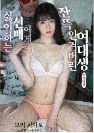 樱花记忆